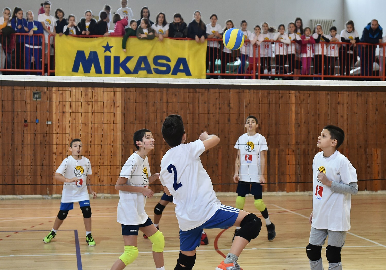 EKO mini odbojka 180