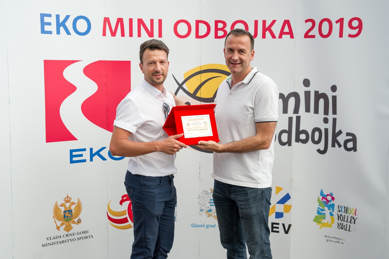 eko mini odbojka cev cvetko ricardo