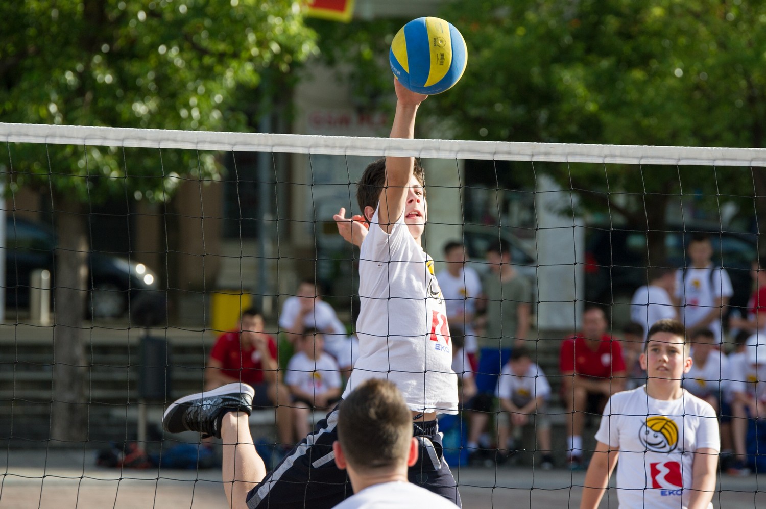 eko mini odbojka trg 2019 087