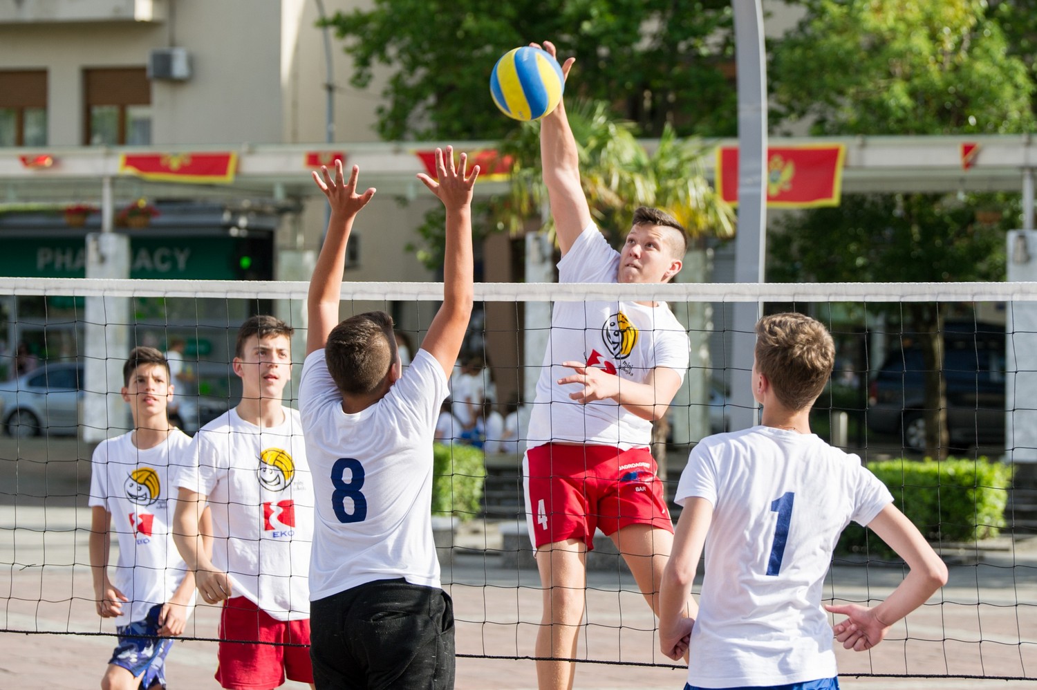 eko mini odbojka trg 2019 175