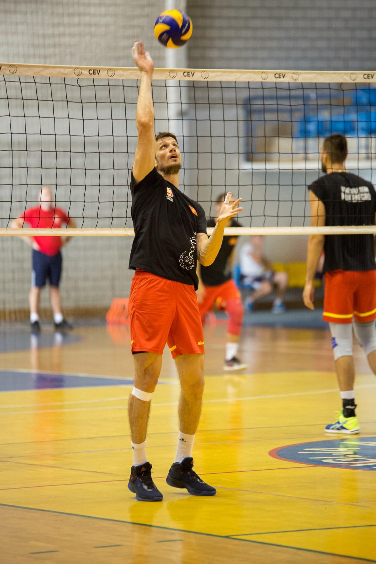 muska odbojkaska reprezentacija crna gora seniori trening 102